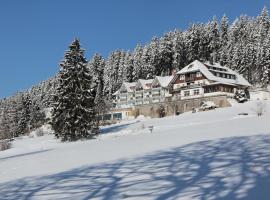 JUFA Hotel Schwarzwald, hotel u gradu 'Lenzkirch'