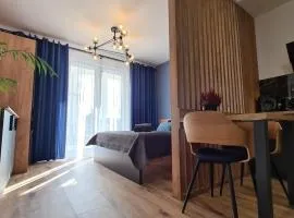 Apartament - Sienkiewicza 22D