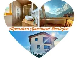 Alpenstern Apartment Montafon