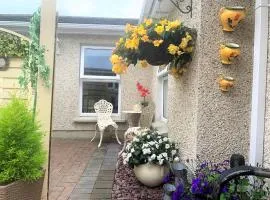 Naas 2 Bedroom Back Garden Escape