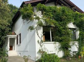 Rooms in the villa near the airport, share bathroom and share kitchen, hotel u Ženevi