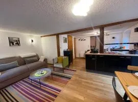 Appartement cosy avec balcon, centre historique de Morzine, proche ski-bus, wifi, TV - FR-1-679-8