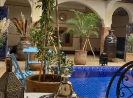 Le riad de Salima, Noor Es Saadi design