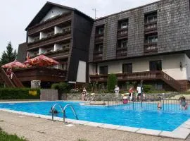 Hotel Pavla Vysočina