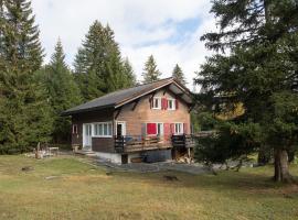 Ferienhaus Tgantieni Ski-in Ski-out-Lenzerheide, hótel í Lenzerheide