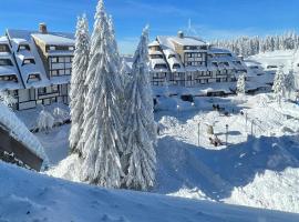 Apartments Konaci Centar, hotel v destinaci Kopaonik