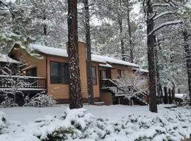 Cheerful Kathys Cabin, Hot Tub, King Bed, Airport, Snowbowl, NAU, Downtown attractions!