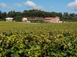 Solar de Vila Meã, hotel u gradu Barselos