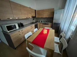 Apartmán Raisova 1180