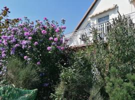 Pension Haus Anneliese, гостевой дом в городе Иккериц