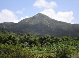 O Logis du Morne Jacob "CITRON", Le Morne-Rouge Martinique โรงแรมในLe Morne Rouge