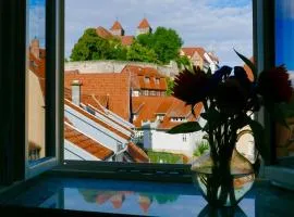 Ökoloft am Schlossberg von Quedlinburg