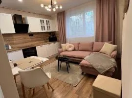 Apartment R&L Lazovná 2 - city center, free private parking