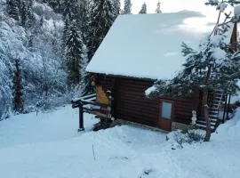 Bungalow in mauntains with chan in the forest