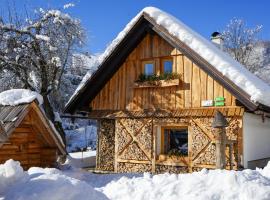 Bohinj में Hike & Bike Chalet, cabin