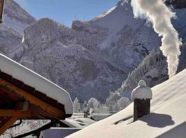 Alpine Chalet, hotel Kanderstegben