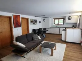 WEF 3.5 Room Apartment in Serneus