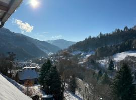 Bollenlodge - Ferienwohnung mit Ausblick und Top Lage, brunarica v mestu Todtnau