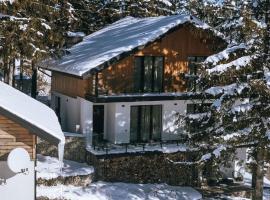 Gogodz Chalet Resort، فندق في يابلونيتسيا