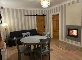 Cozy house with fireplace