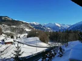 Gemütliche FeWo mit Sauna inmitten der Berge