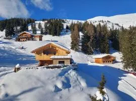 Wellness chalet directly on the ski slope