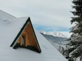 Štýlový Zrub Martina A s kúpacou Kaďou a detským ihriskom!