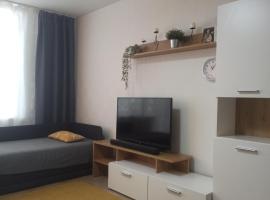 Lake apartment, Unterkunft zur Selbstverpflegung in Visaginas