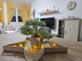 Apartman Vukota 2 Pirot