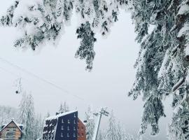 Apartmani Dvosjed, hotell i Jahorina