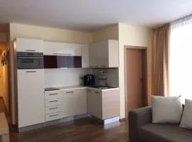 Apartman priamo na svahu