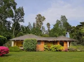 Cabañas Altos del Lago