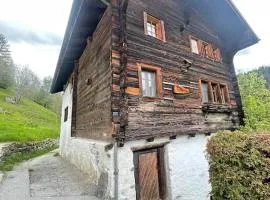 Cosy mountain apartment 5min walk from Gondola