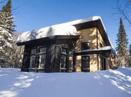 CHALET MISTA - Charlevoix - Repère de ski moderne en nature, casa de muntanya a Saint-Tite-des-Caps