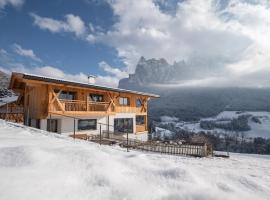 Oberzerod Apartments, hotel en Siusi