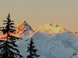 Bourg Saint Maurice Les Arcs - maisonnette grand confort dans charmant village de montagne !, hotel em Bourg-Saint-Maurice