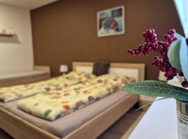 Apartman Valentina โรงแรมในซลีน