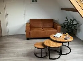 Ruim appartement met sauna, Zuidstraat 125 in Westkapelle