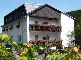 Pension Haus Waldfrieden, MeineCardPlus inklusive, hotel a Willingen