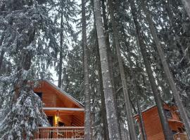 Chalet Hay Huy, готель у місті Буштені