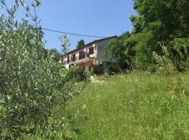 Apartment Cimbora, Salara farmhouse