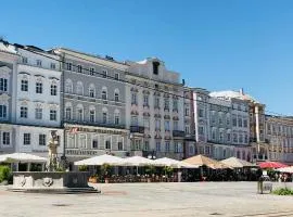 LINZ CITY CENTER - Historisches Apartment & Refugium