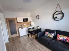 Rezidence pod zámkem Mikulov - apartmán 205 B