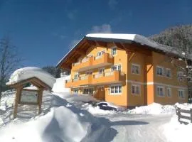 Appartement Nr 3 Alpenstern