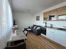 Apartmán Roda2 Malé Lipno