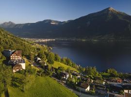 Zentrum Elisabeth - convalescent hotel, Kurhotel, hotel econômico em Walchwil