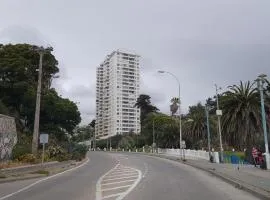 Departamento por días en Valparaíso frente al mar