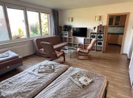 Apartmány U rybníka, hôtel à Český Krumlov