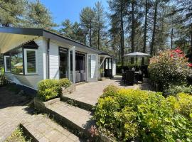 Luxe vakantiehuis in het bos, hotel de playa en Overbroek