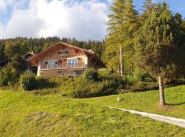 Chalet La Louise avec vue imprenable, hotel sa Crans-Montana